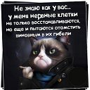 ���� ��������� �������, ������ - ��������� 7 ����� 2017 � ������ ������ ��������