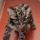 ���� ������, ������ - ��������� 5 ������� 2016 � ������ ��������