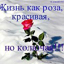 ���� �������, ����������� - ��������� 12 ������� 2017 � ������ ������ ��������