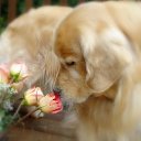 ���� Vasia, �����-��������� - ��������� 7 ������ 2016 � ������ ������ ��������