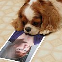 ���� �����, ������, 57 ��� - ��������� 1 ������� 2016 � ������ ���� ����������