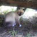 ���� �������, ����������� - ��������� 18 ������� 2017 � ������ ������� ��.�