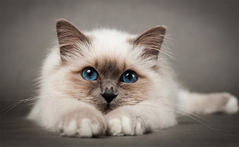    ...)))   ...))).    ,  ...