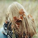 ���� �����, �������, 49 ��� - ��������� 8 ������� 2016 � ������ ������ ��������