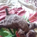 � ��� �� �����! �� ������� ���������� ������