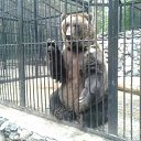 ���� �����, ��������, 55 ��� - ��������� 24 ������� 2016