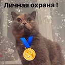 ���� �������, �����, 57 ��� - ��������� 23 ����� 2017 � ������ ������ ��������