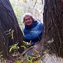 ���� Galina, ������ - ��������� 31 ������� 2016 � ������ ���� ����������