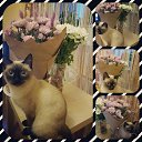 ���� �������, ���������, 47 ��� - ��������� 14 ������ 2016 � ������ ������ ��������