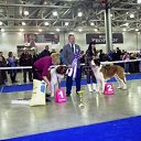 ������������ ��� *���������* 2012, ������ �� ������� ���� �������