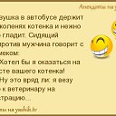 ���� �������_�����, �������, 48 ��� - ��������� 5 ����� 2017 � ������ ������ ��������