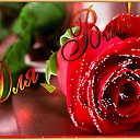 ���� Walesam, �������� ���, 76 ��� - ��������� 20 ����� 2017 � ������ ������ ��������