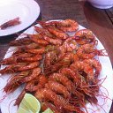 ���� �������, ������, 59 ��� - ��������� 30 �������� 2016 � ������ ��������