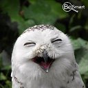 ���� ������, 82, ������ - ��������� 19 ������ 2017 � ������ ���� ����������