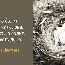 ���� ����, �����������, 74 ���� - ��������� 6 ������� 2017