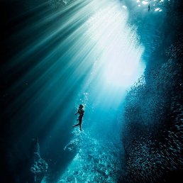 ��������, ���������, 34 ����