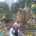 ���� �������, �������, 66 ��� - ��������� 7 ����� 2017 � ������ ���� ����������