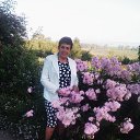 ���� ����, ����������� - ��������� 2 ������ 2016 � ������ ���� ����������