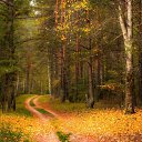 ���� ���������, ������, 66 ��� - ��������� 7 ������ 2017 � ������ ������ ��������