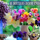 ���� A, ���� - ��������� 5 ������� 2017 � ������ ���� ����������