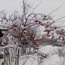 ���� ������, ���������-�������, 57 ��� - ��������� 17 ������ 2016 � ������ ���� � � ��� ������ ����!!!�