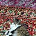 ���� Viktor, ����, 68 ��� - ��������� 15 ������ 2017 � ������ ���� ����������
