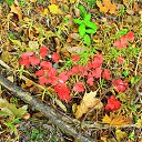 ���� �������, ��������, 47 ��� - ��������� 2 ������� 2016 � ������ ���� ����������