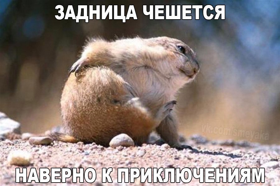    :D - 18  2017  15:45
