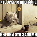 ���� Alexey, ������ - ��������� 29 ������ 2016 � ������ ���� ����������