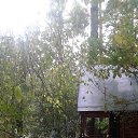 ���� ������, �����������, 65 ��� - ��������� 14 ������� 2016 � ������ ���� ����������