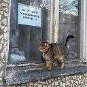 ���� ����, ���������, 46 ��� - ��������� 28 �������� 2016 � ������ ���� ����������