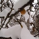 ���� �������, ����� - ��������� 7 ������ 2016 � ������ ������ ��������