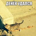 ���� ������, ����, 48 ��� - ��������� 17 ����� 2017 � ������ ������ ��������