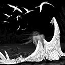 ���� �����, ������, 51 ��� - ��������� 25 ������ 2016 � ������ ������ ��������