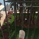 Sermione)Una Bella giornata) �� ������� ���� ����������
