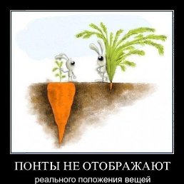 ���� ������, ������, 41 ��� - ��������� 23 ������ 2017