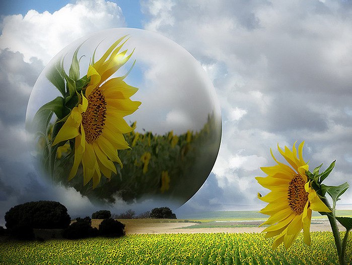 ))). Monuela Moya "Expecty" Monuela Moya "Expecty" ... - 6