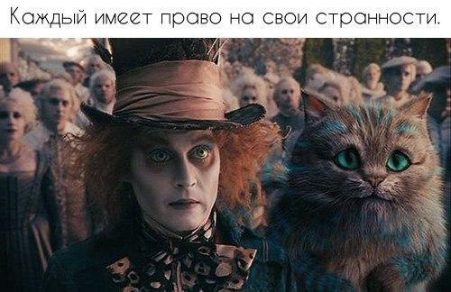 ...����� ���� �� �������� ������ �����