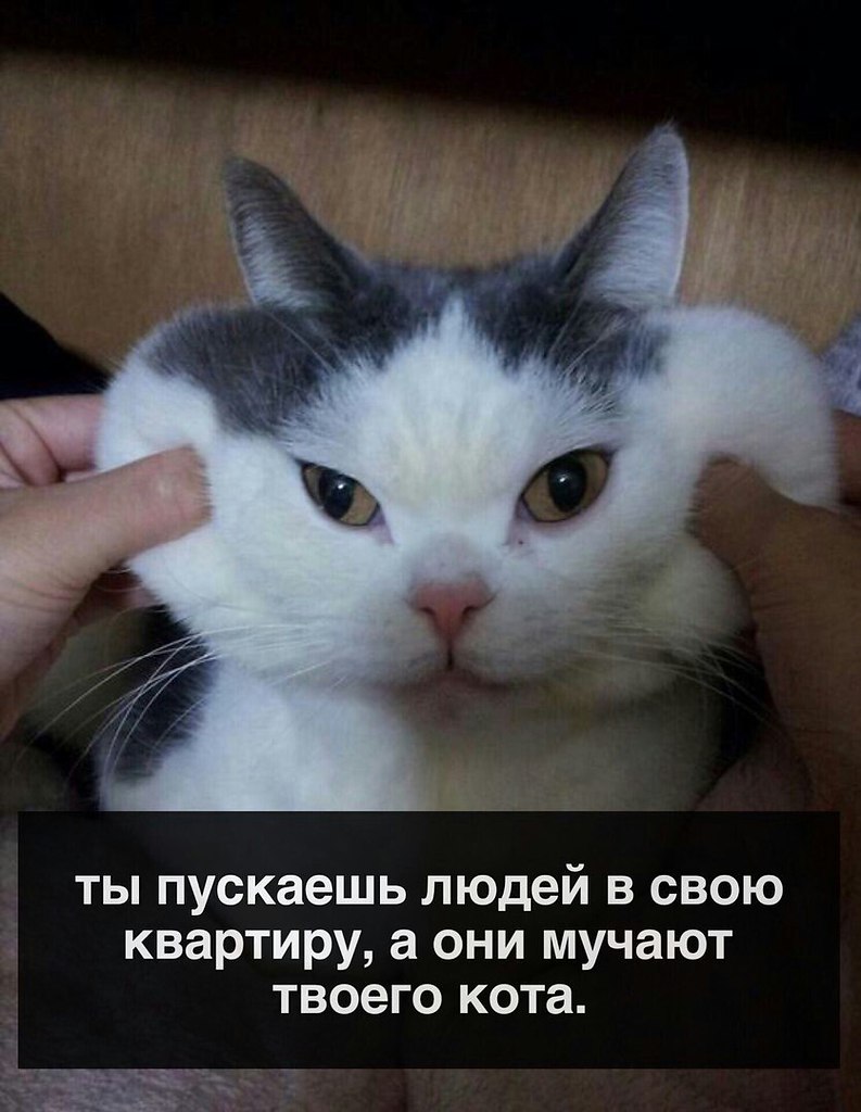  - 24  2016  09:47