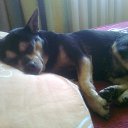  Vidmantas, , 52  -  25  2016    