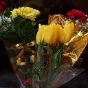 ���� E��������, ������, 43 ���� - ��������� 23 ������� 2016 � ������ ���� ����������