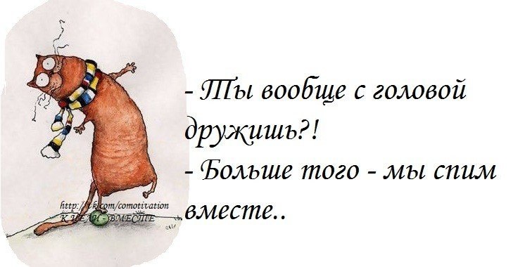 Не дружу с фломом big. Не дружит с головой. Дружите со своей головой. Ты с головой дружишь?. Картинка дружи с головой.