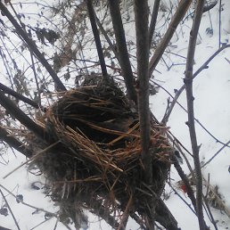 ���� ��������, �����, 46 ��� - ��������� 15 ������� 2016