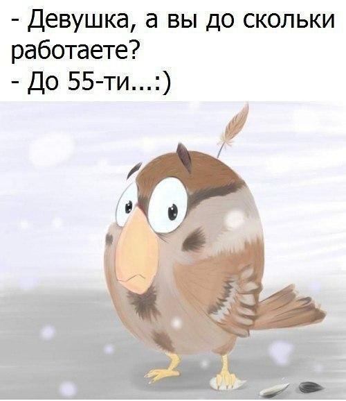   - 24  2017  23:22