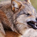 ���� ����, ����� - ��������� 14 ������� 2017 � ������ ���� ����������