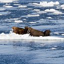 ������� � ��������� ���� �� ������� ���� ����������