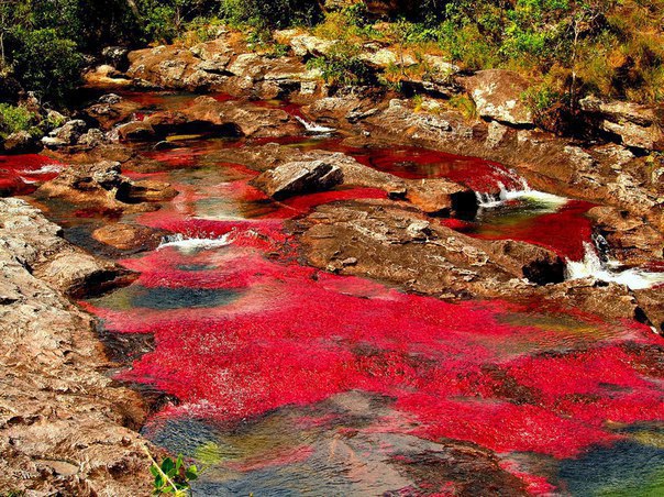 K-Kpc - o   .po o p -cc (Cao Cristales), ... - 2