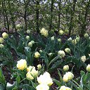 ���� Lana, ������, 54 ���� - ��������� 1 ������ 2017 � ������ �Timeline Photos�