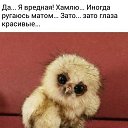 ���� �������, ���������, 63 ���� - ��������� 10 ������� 2017 � ������ ������ ��������