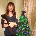 ���� ��������, ������ �����, 46 ��� - ��������� 6 ������ 2017 � ������ ���� ����������